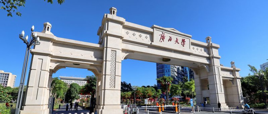 2025广西高校排名可视化数据