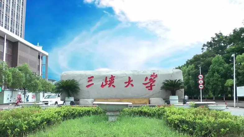 2024三峡大学排名数据可视化