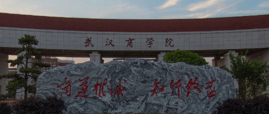 武汉商学院录取数据可视化图示