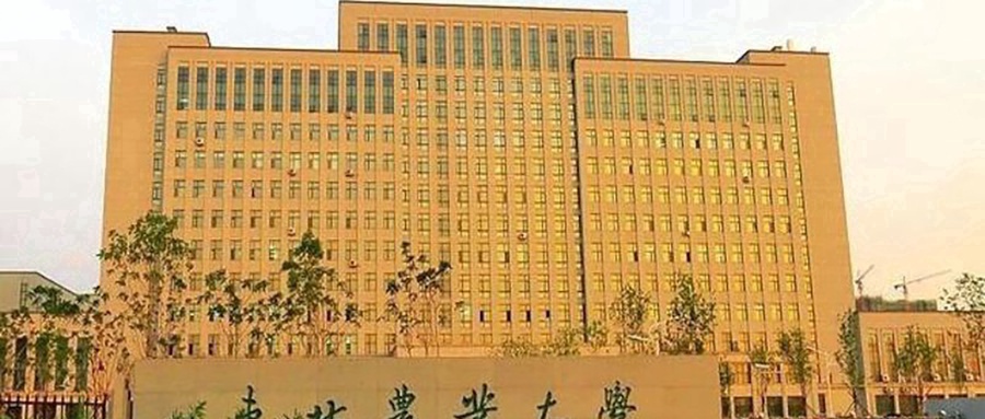 东北农业大学校园风光