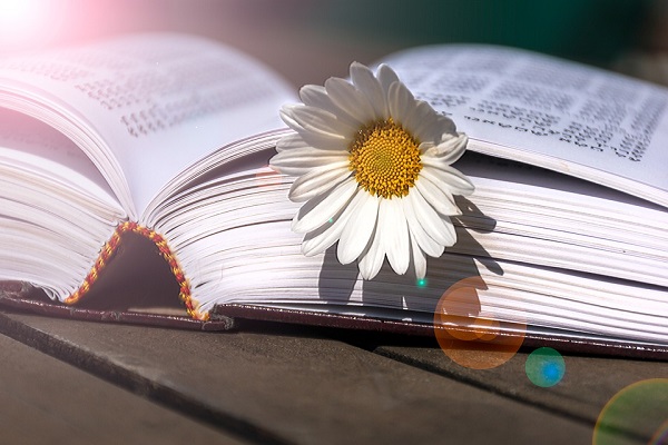 十条建议帮助你攻克国外留学签证申请