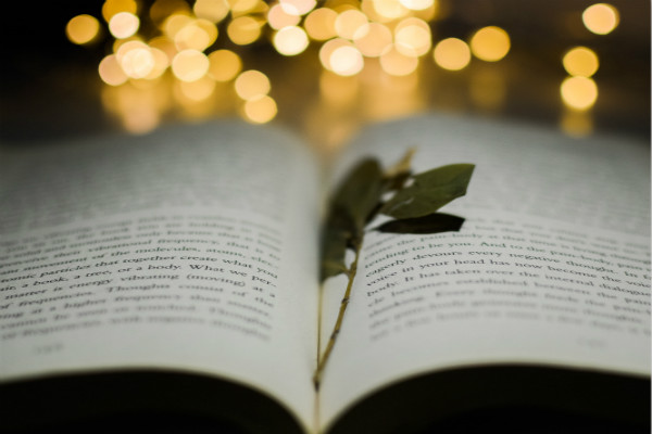 怎样办理出国签证？花费多少